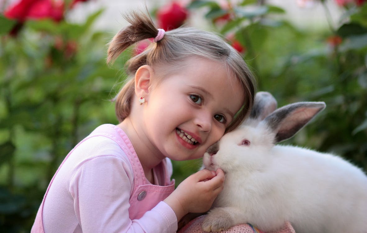 girl-rabbit-friendship-love-160933
